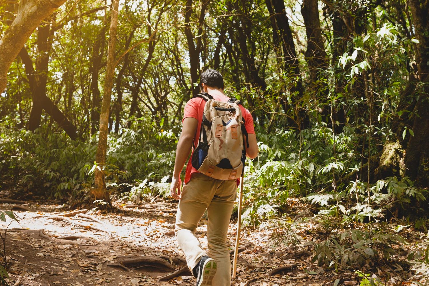 Explorando o Cânion do Funil